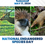 128-Endangered-Species-Day