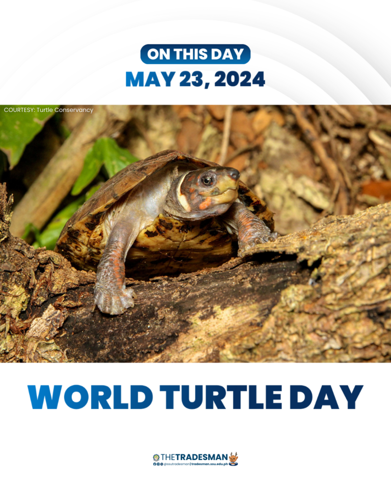 130-World-Turtle-Day