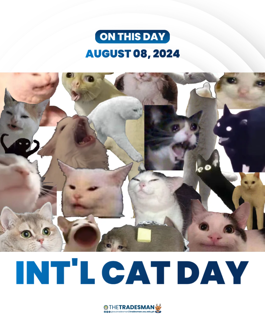 173 International Cat Day