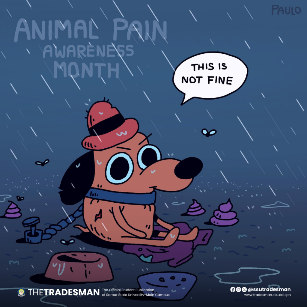 07 Animal Pain Awareness Month