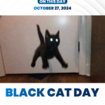 26 Black Cat Day